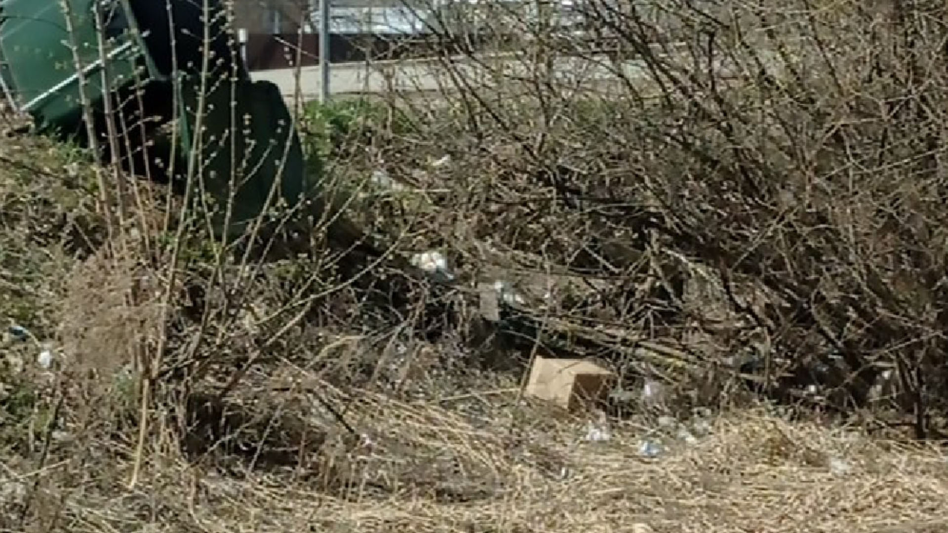 Сухая трава и мусор в городе Мамадыш, Республика Татарстан
