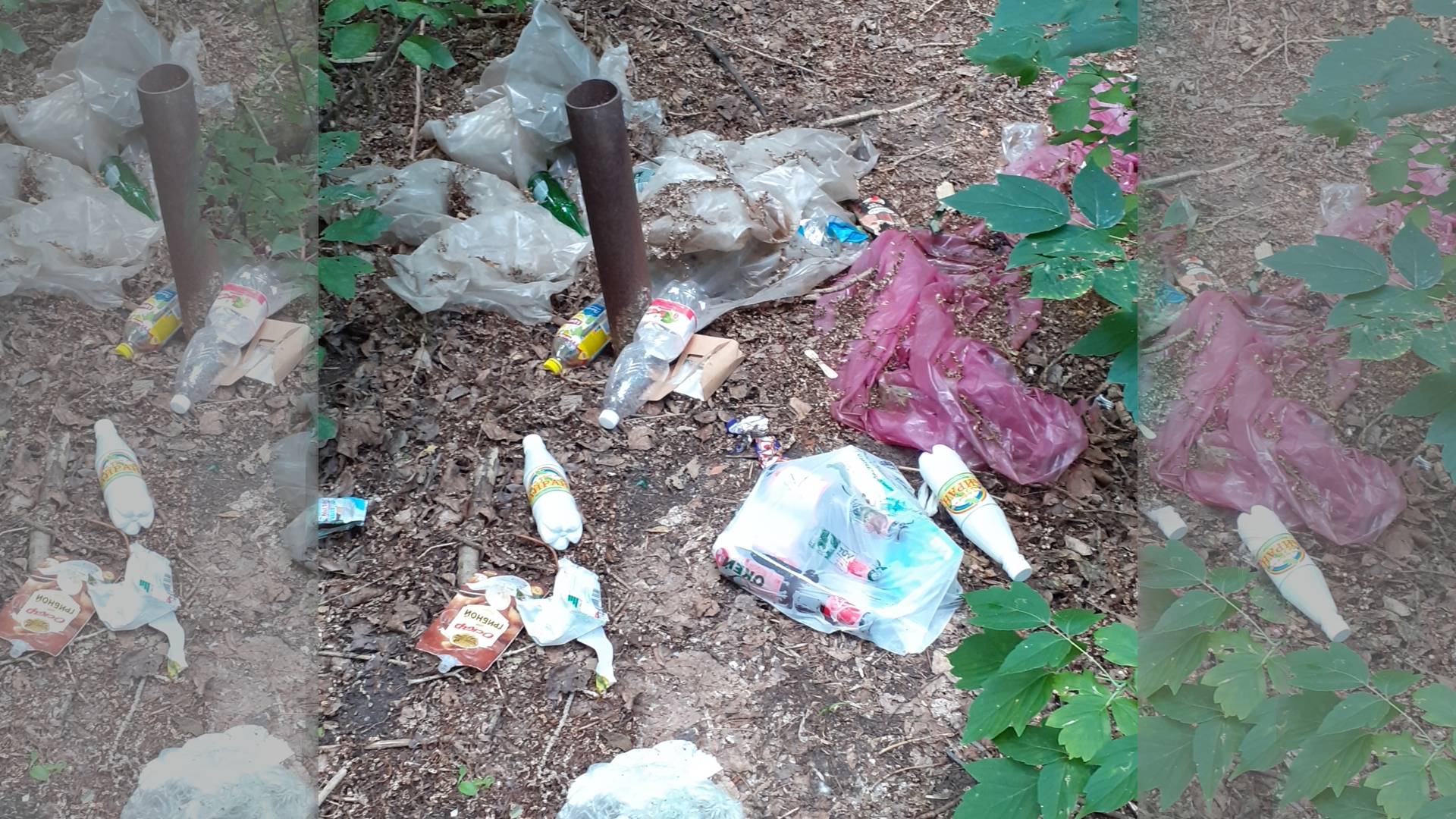 Постоянная свалка мусора и отсутствие мусорных контейнеров в Шарташском лесопарке