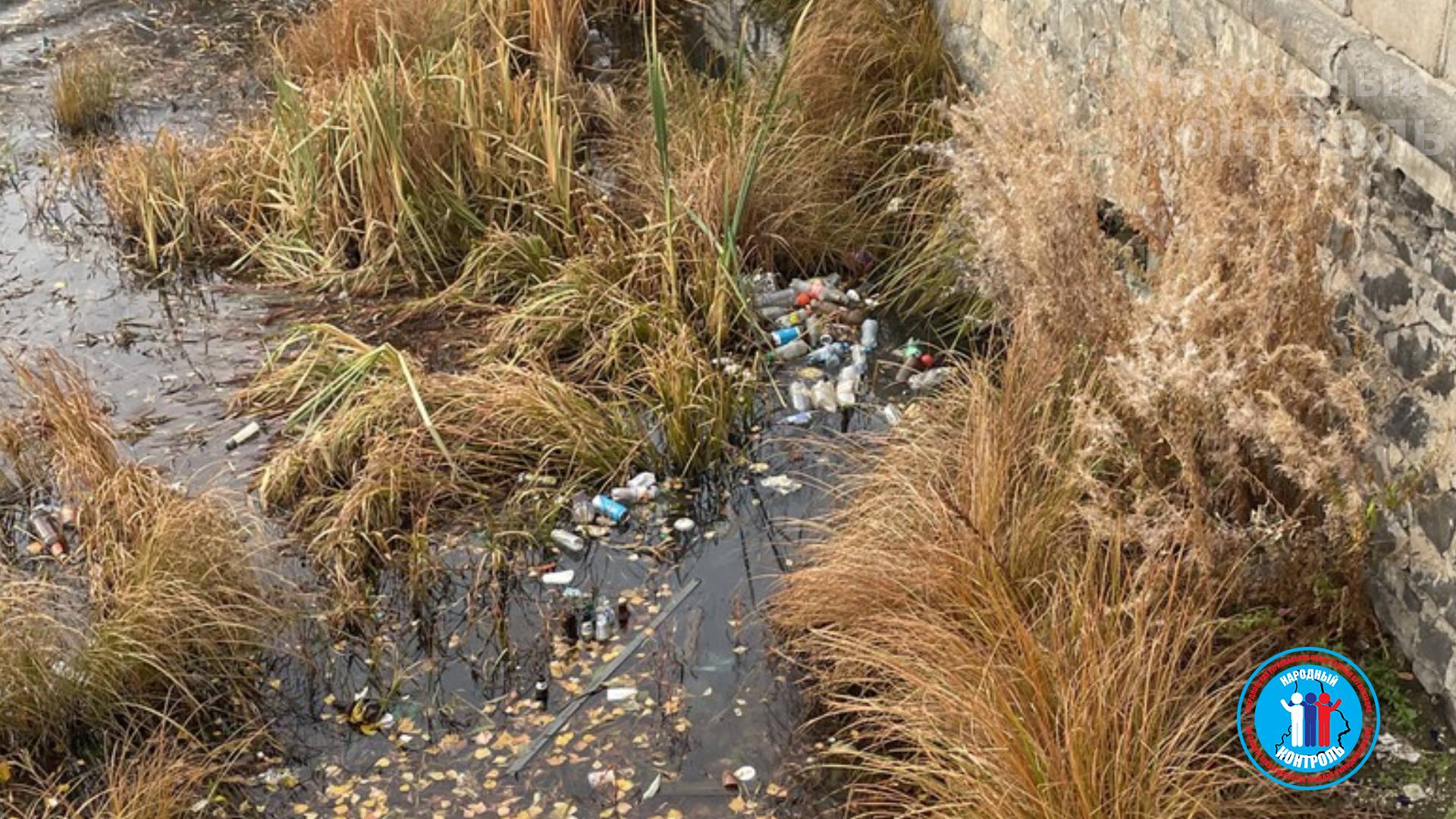 Множественный мусор на поверхности реки Исеть