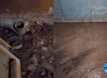 Регулярные проблемы с канализацией в жилом доме в Ревде