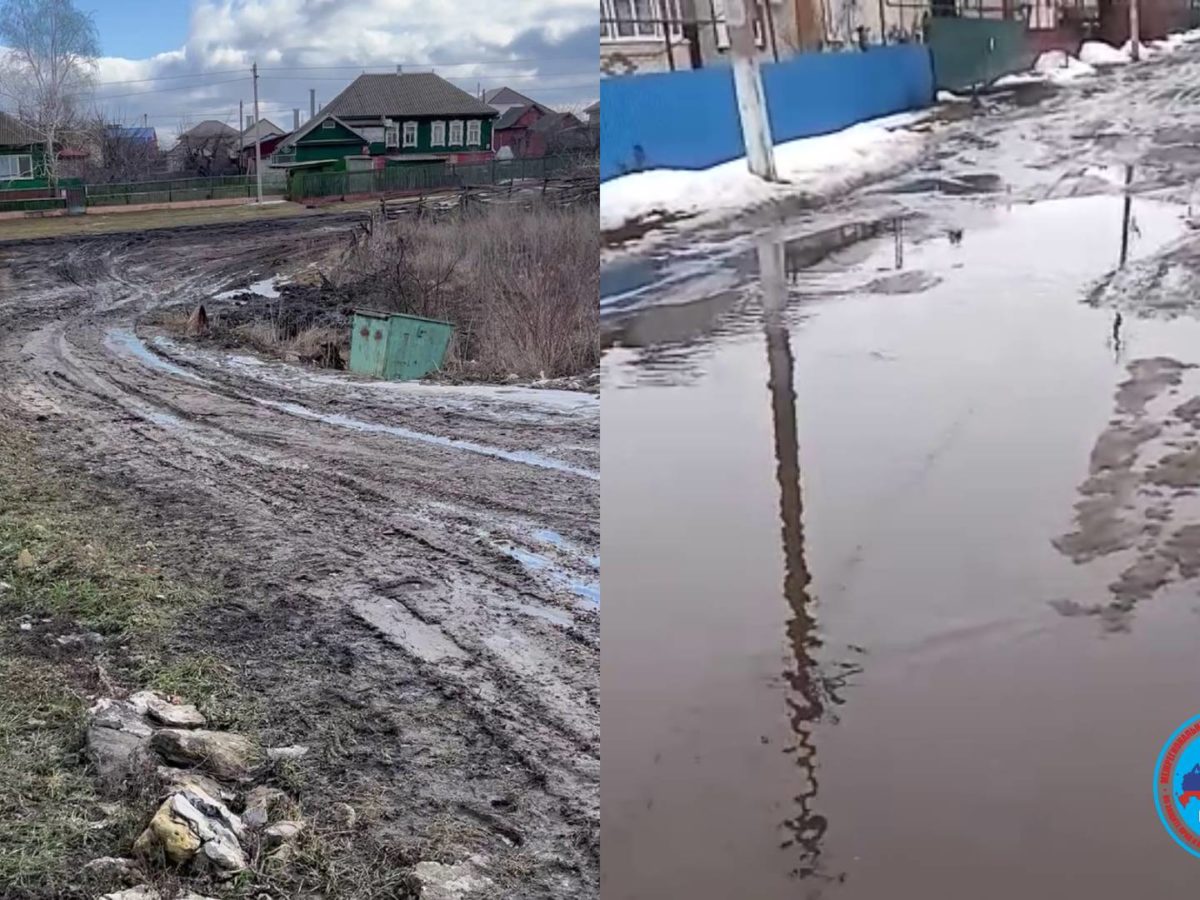 Всю весну на дороге огромные болота и грязь в г. Жердевка – МОО «Народный  Контроль»