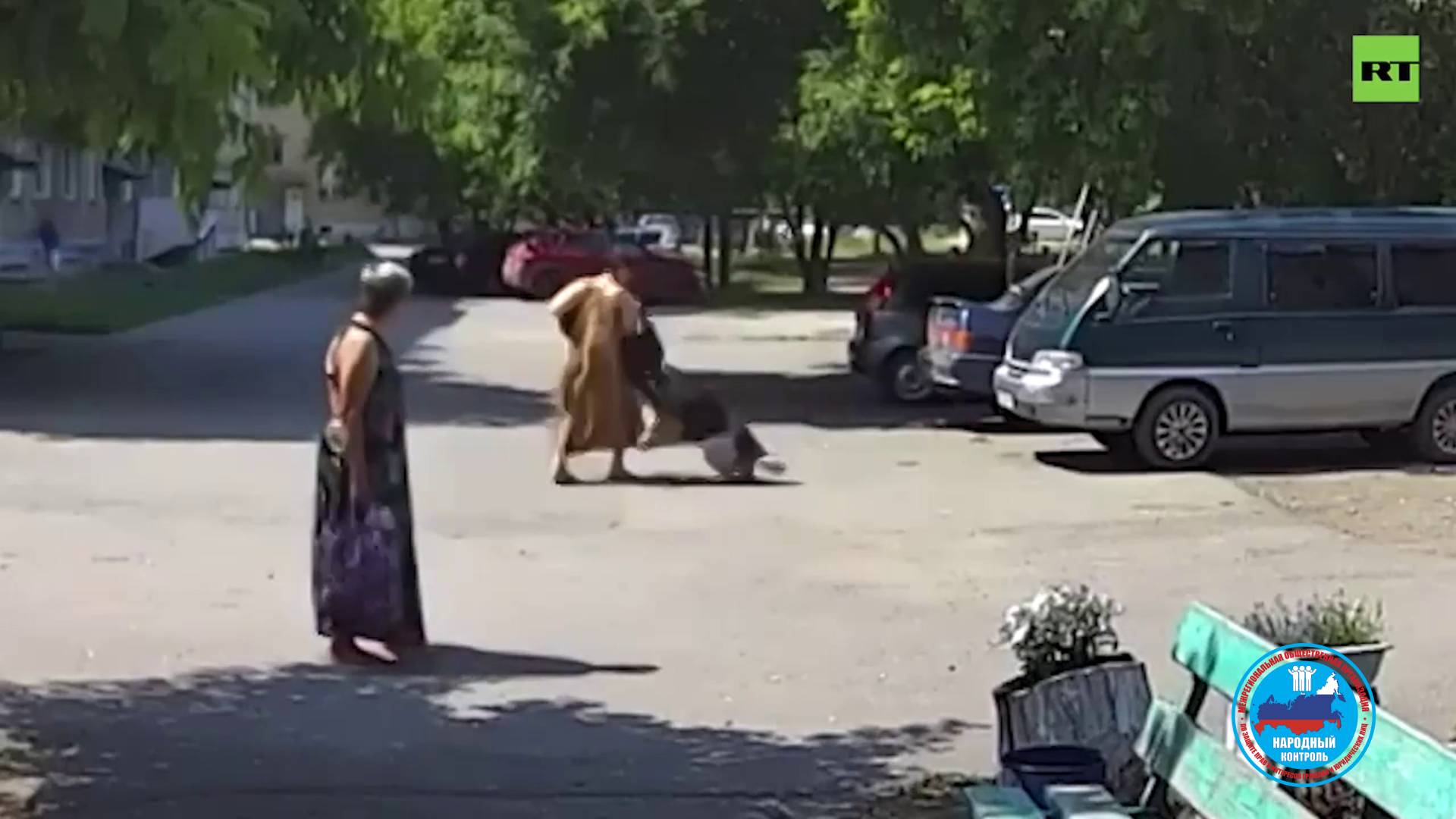 Собака набросилась на женщину в Коркино