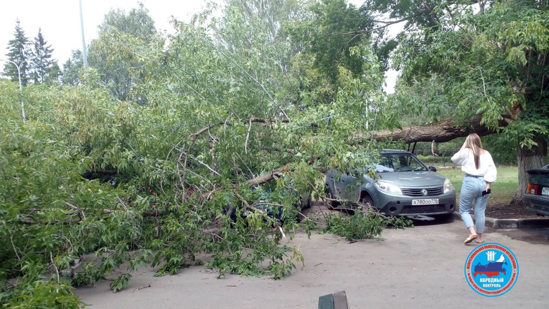Дерево упало на 5 машин в Альметьевске
