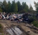 Весь Полевской округ погряз в мусоре