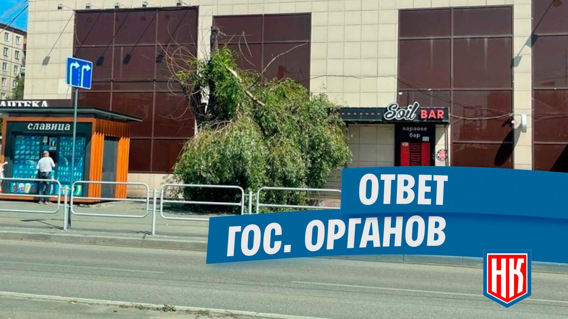 Получен ответ из Челябинска по вопросу упавшего дерева по ул. Труда