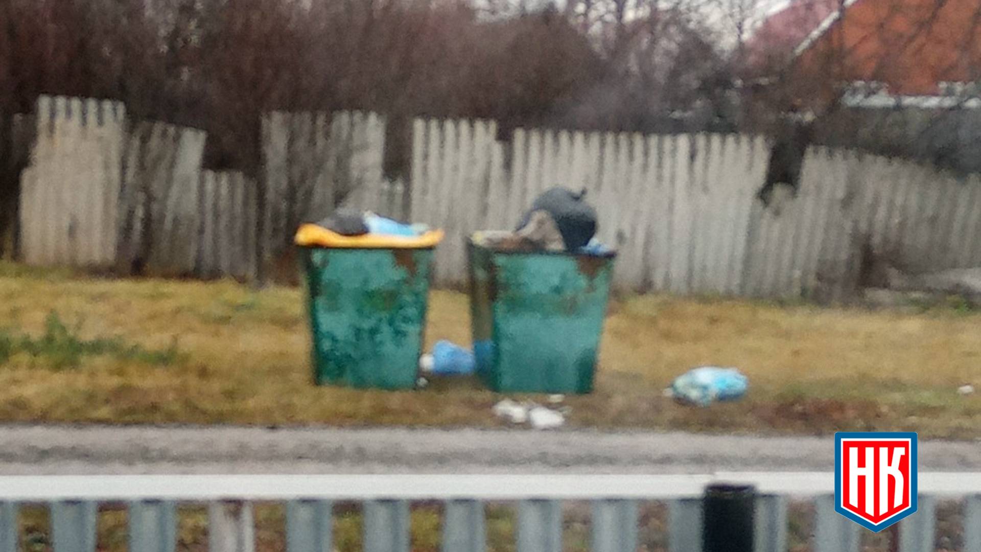 Не вывозят мусор в г. Абдулино Оренбургской области