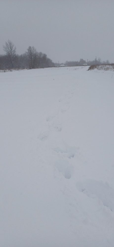 9f14329f2d41b6968707529053320878-rotated Снег не чистят совсем, даже скорая не смогла проехать в селе Толстый Колодезь