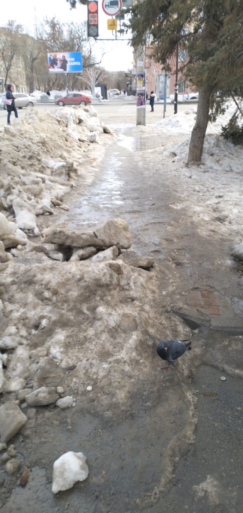 2b730f1cb0c5f1690dfd38b32db3f78b-485x1024 Куча грязного льда на тротуаре в Челябинске: дорожные службы ждут, когда само растает