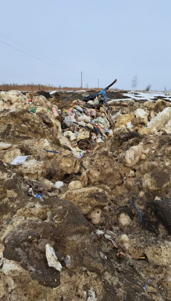 5261c8c344b845318aa30994428acff4-583x1024 Незаконный сброс мусора вдоль дороги на деревню Умрышенка Московской области