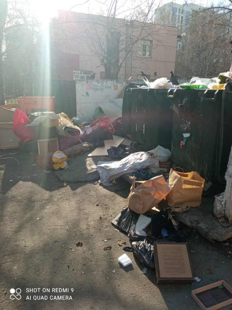 0547bbd2ae3e1d4deb95fdbc2ebcc369-768x1024 Проблемы с вывозом мусора и крысами на ул. Бехтерева  в Екатеринбурге