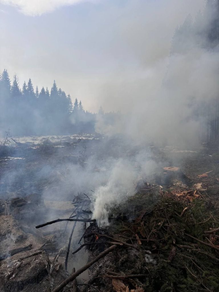 0fcbce619842787d468049996dcf488b-768x1024 «Задыхаемся от смога»: сжигание порубочных остатков в Ревде угрожает здоровью жителей