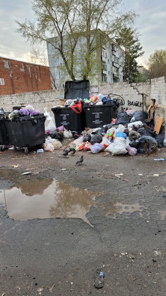20240422_181657-59edbe4d568d17c61833d71955355de4-576x1024 Ужасное состояние мусорной площадки в Челябинске: ситуация не меняется