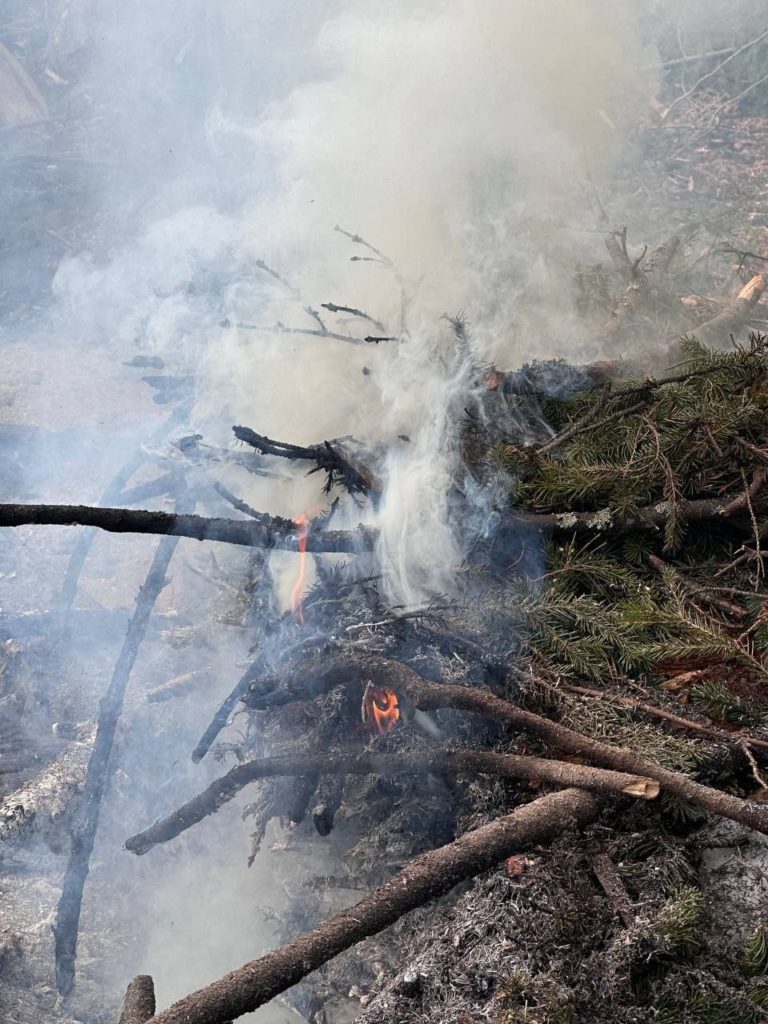 44b1aebbc79bcaa1257a9b9e4b9a053f-768x1024 «Задыхаемся от смога»: сжигание порубочных остатков в Ревде угрожает здоровью жителей