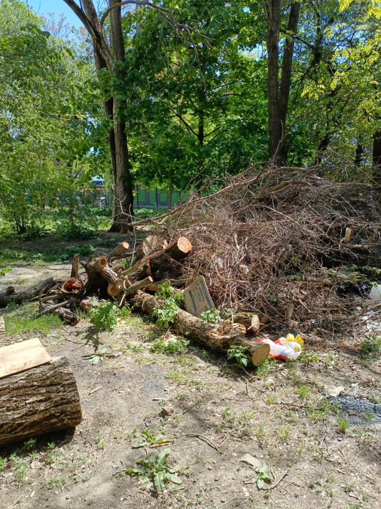 53d2d1091b900f0d4bd5bba88d2a8961-768x1024 Жители Ростова жалуются на невывоз спиленных деревьев на территории двора