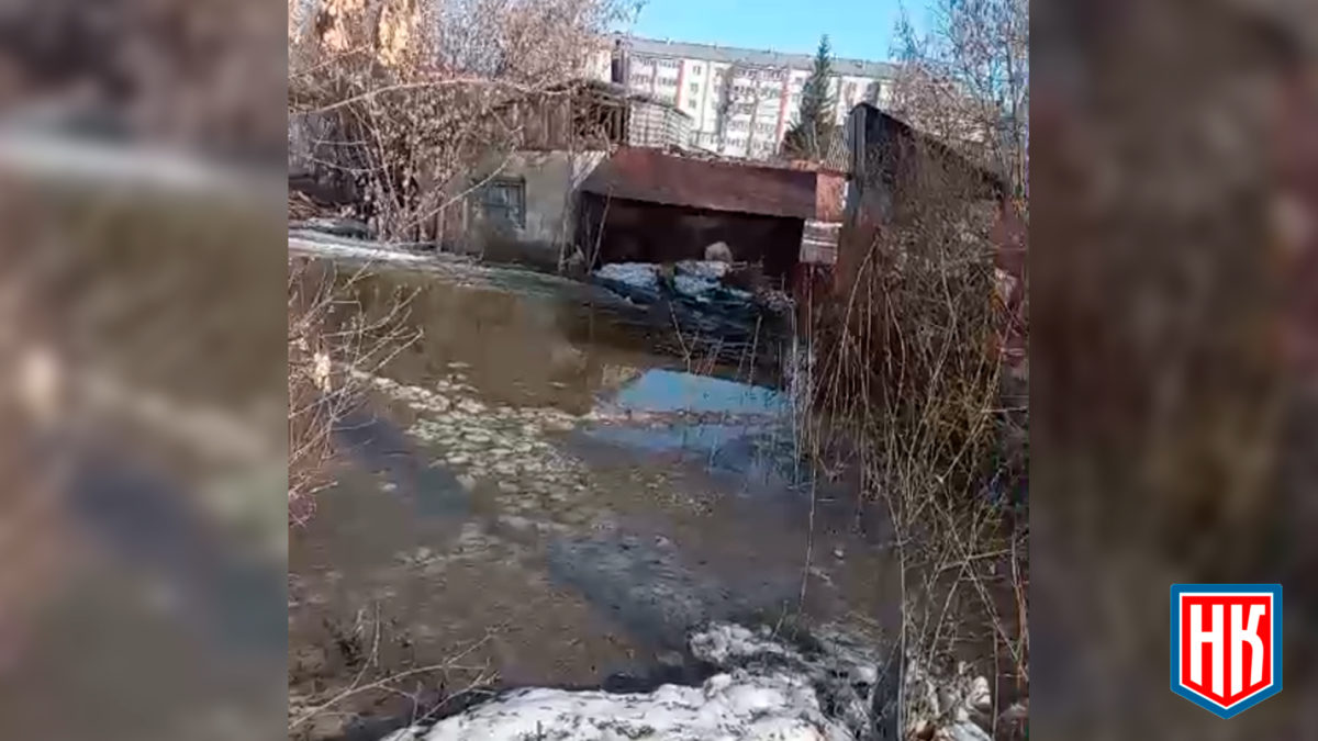 Паводок в г. Коркино: талые воды затопили земельные участки и создали  угрозу для жителей – МОО «Народный Контроль»