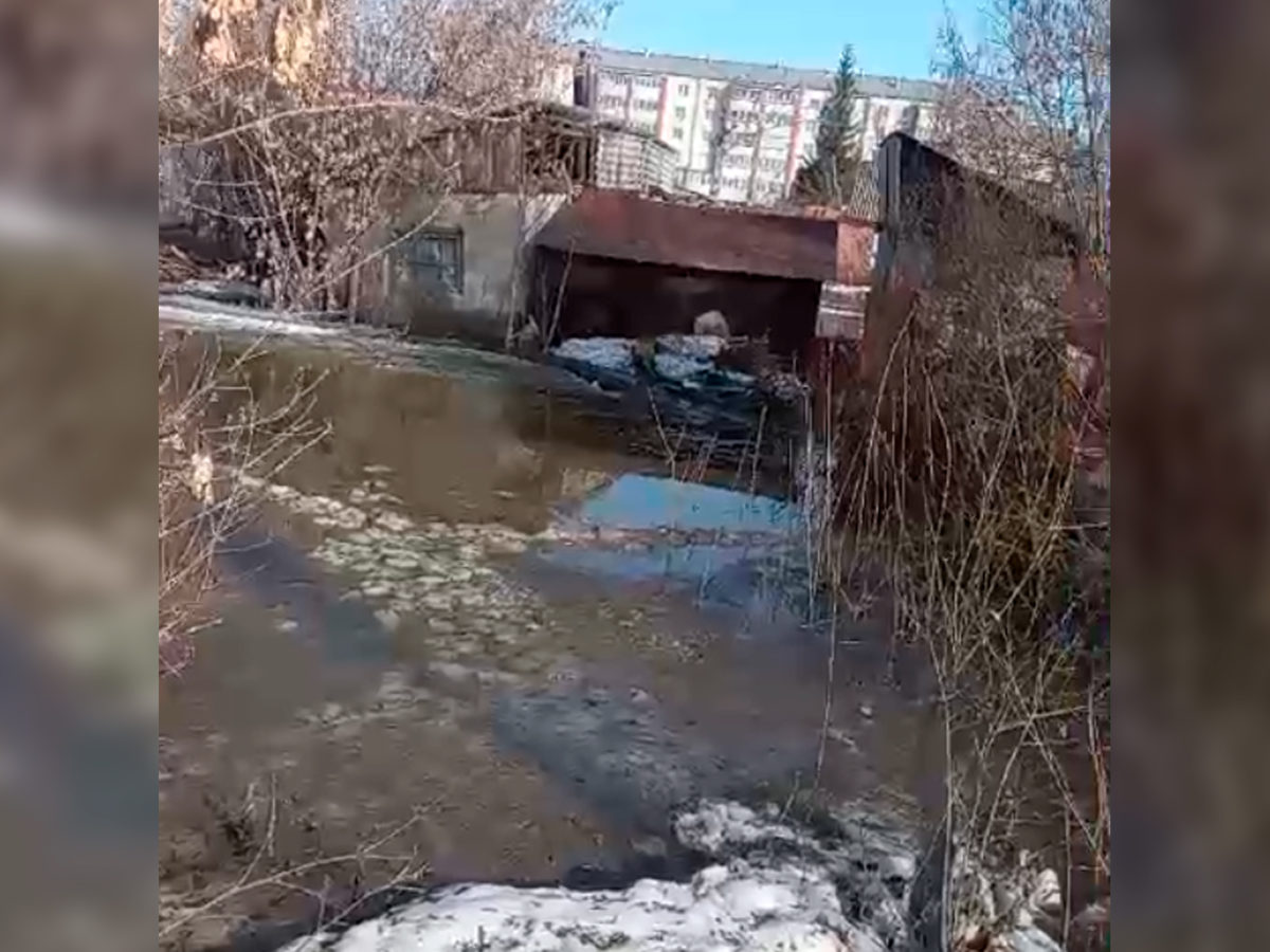 Паводок в г. Коркино: талые воды затопили земельные участки и создали  угрозу для жителей – МОО «Народный Контроль»