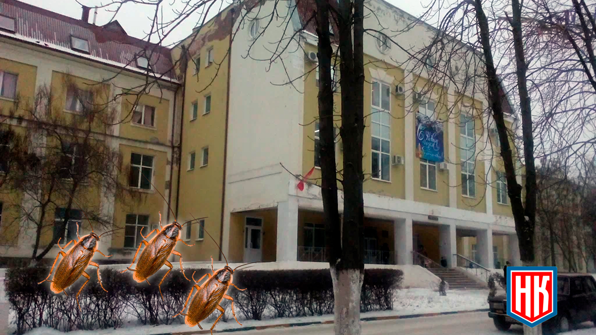 Тараканы в Шахтинской больнице
