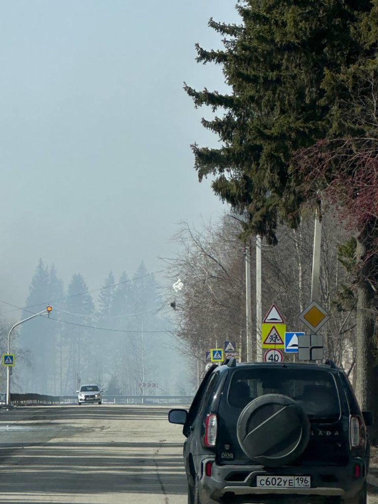 e901ef15d58423a0c28e166acc764cfc-768x1024 «Задыхаемся от смога»: сжигание порубочных остатков в Ревде угрожает здоровью жителей