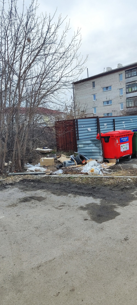 image-100-461x1024 Некачественная уборка мусора на ул. Энгельса в Камышлове.