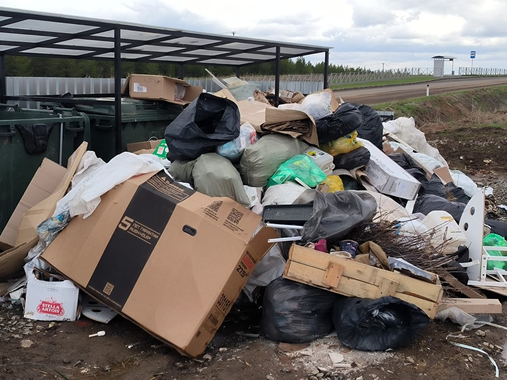image-12 Свалка мусора около природоохранной зоны в п. Бобровский Свердловской области