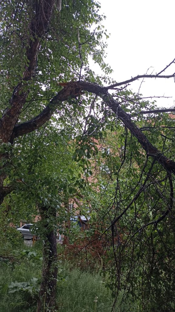 3570904e5991fa7a9d99e19e159015e0-577x1024 Сломанные деревья на детской площадке в Екатеринбурге: последствия майского снегопада
