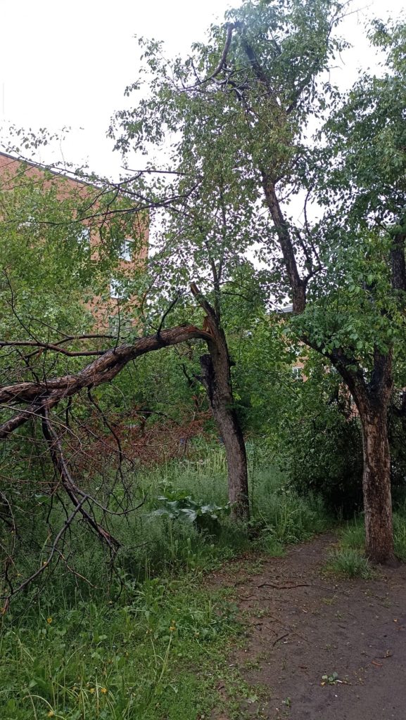 b4bf842fcfabcf214a57521443b26303-577x1024 Сломанные деревья на детской площадке в Екатеринбурге: последствия майского снегопада