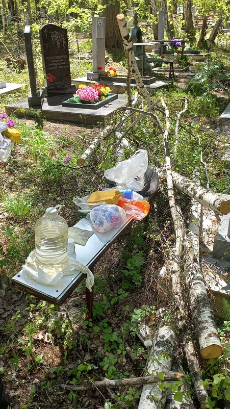 image-11-edited Проблема уборки мусора на Лесном Кладбище в Екатеринбурге остается нерешённой