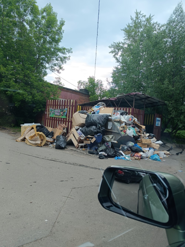 image-50-768x1024 В Электростали не вывозится мусор на ул. Пушкина