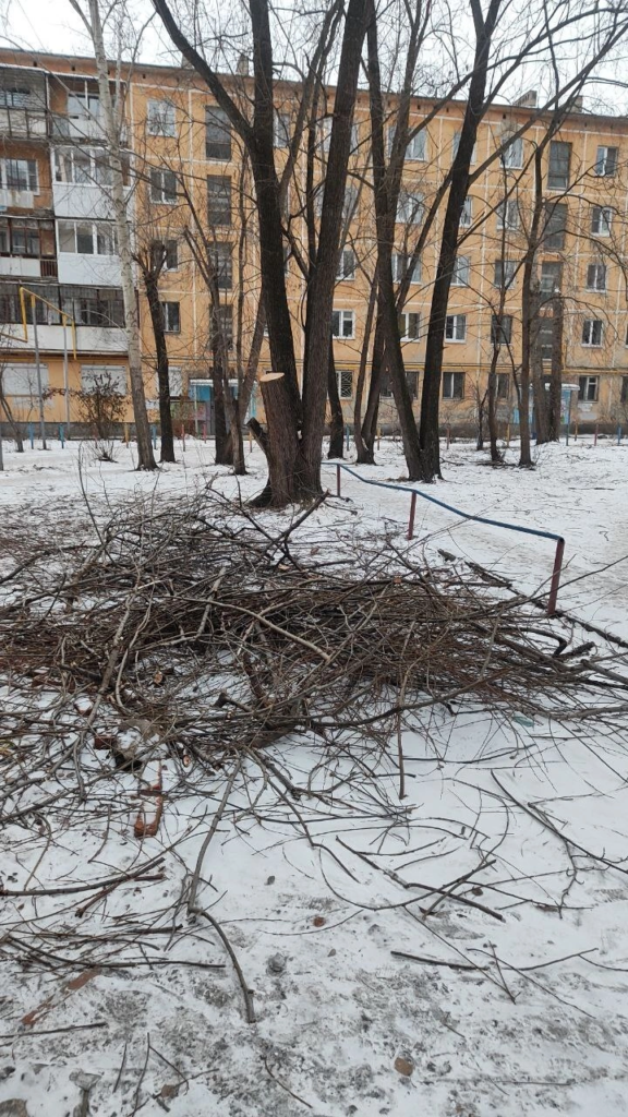 image-205-576x1024 В Екатеринбурге три недели не убирают ветки спиленных деревьев на Белореченской