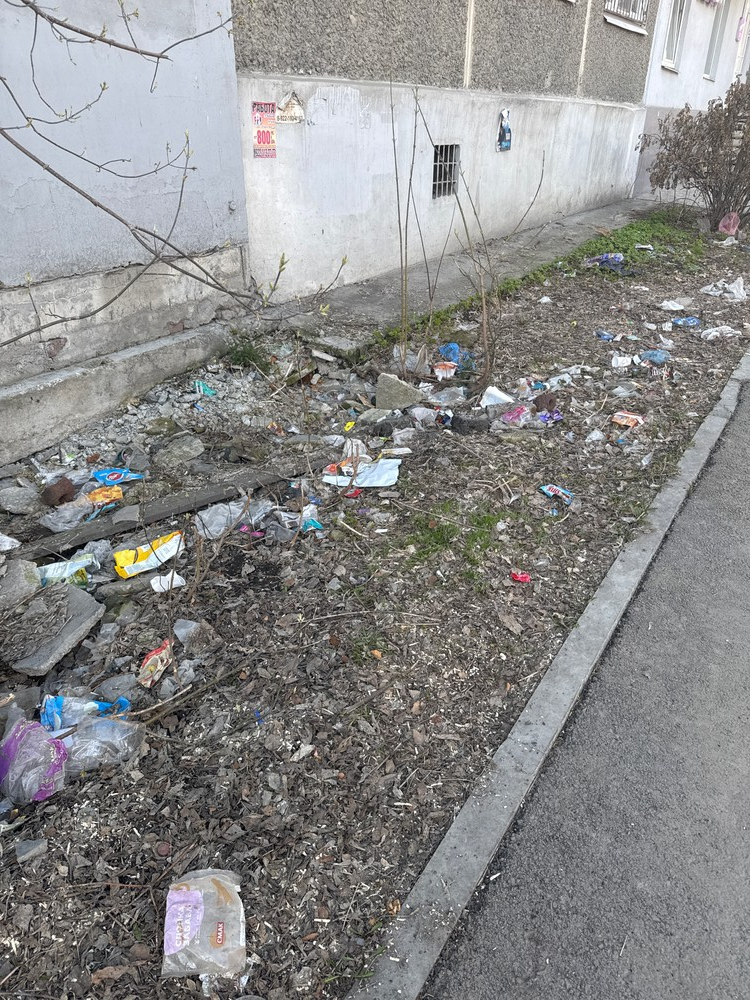 image-243 Улица Московская в Екатеринбурге страдает от мусорных завалов