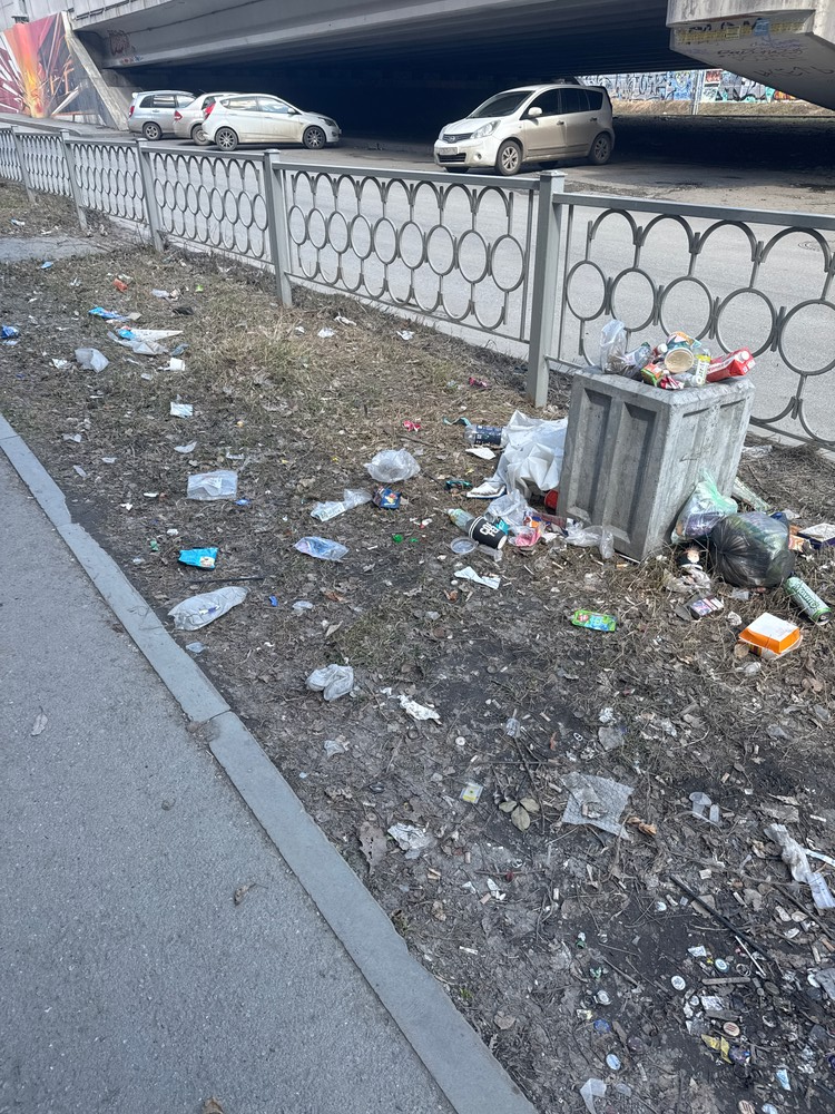 image-244 Улица Московская в Екатеринбурге страдает от мусорных завалов