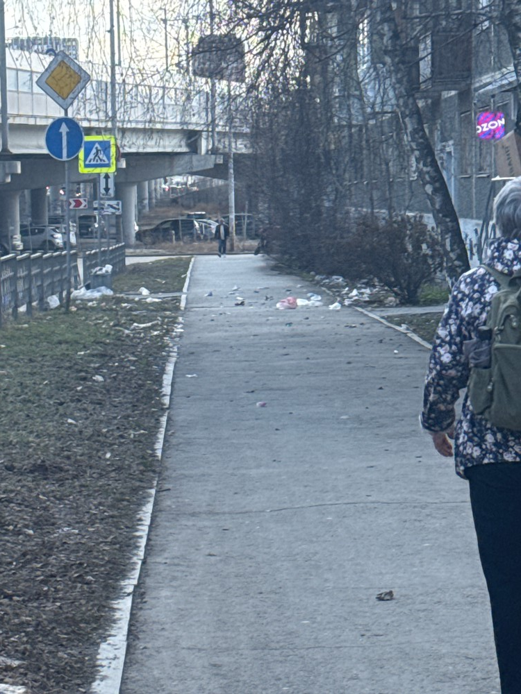 image-246 Улица Московская в Екатеринбурге страдает от мусорных завалов
