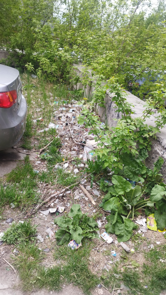 image-371-577x1024 Екатеринбуржцы требуют убрать свалку возле магазинов на Баумана