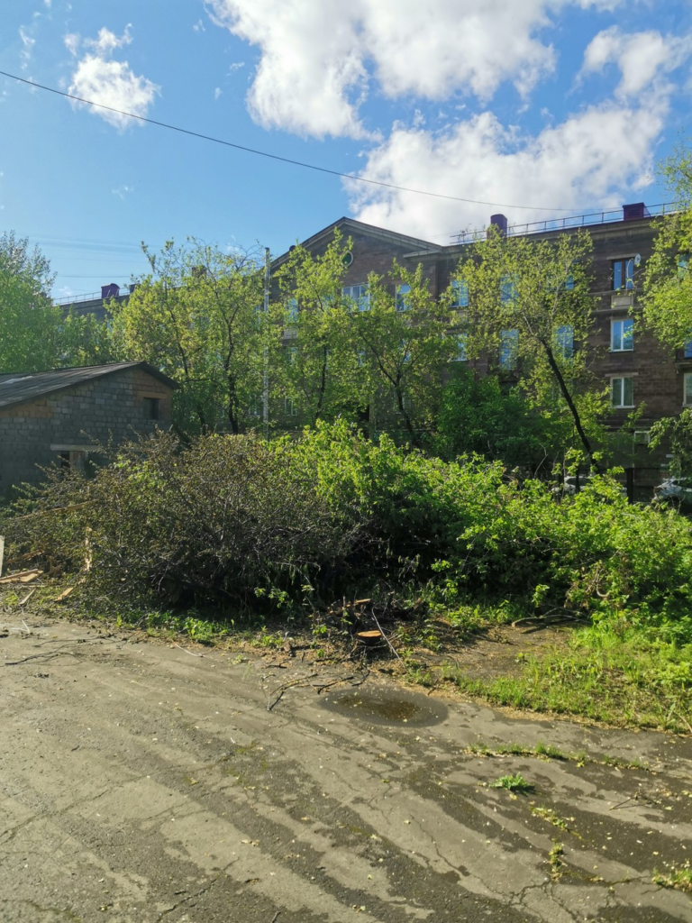 image-408-768x1024 Жители Нижнего Тагила возмущены вырубкой деревьев и строительством парковки без согласования