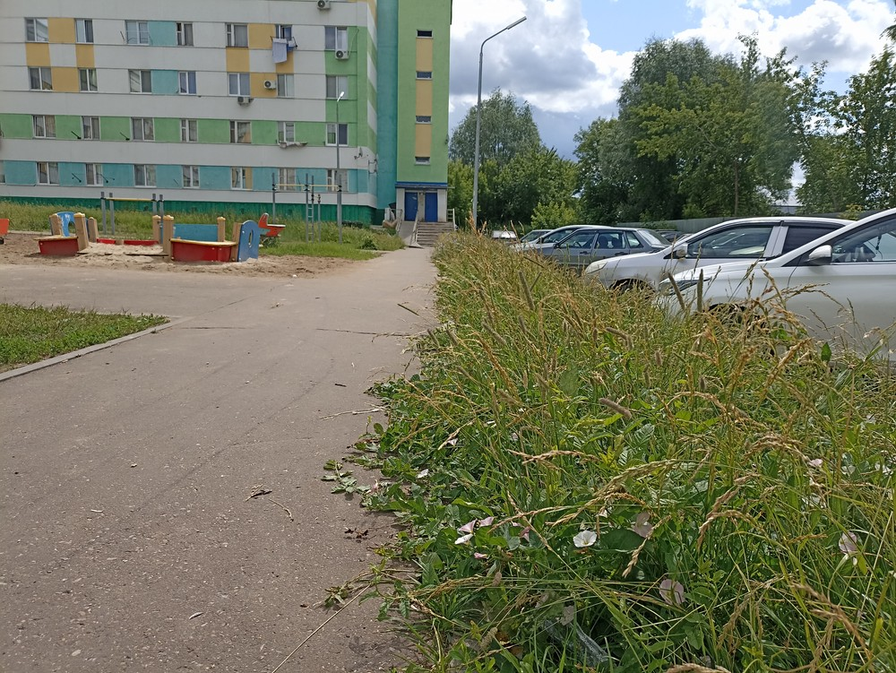 image-108 «Траву якобы скосили»: коммунальщики Набережных Челнов игнорируют заявку на покос травы