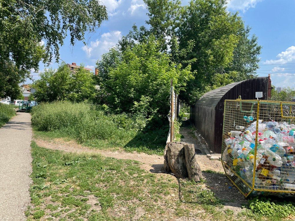 image-11 В Екатеринбурге у дома на Симферопольской разрослись заросли с клещами