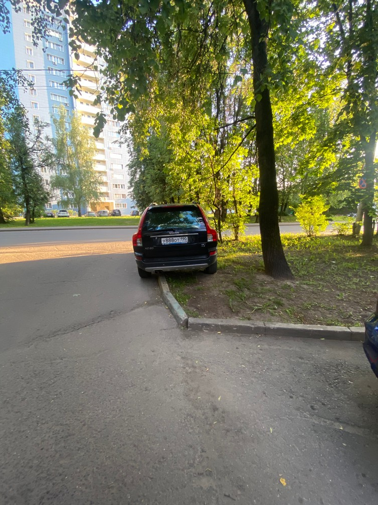 image-146 Подборка автохамов, автонарушителей за 3 - 7 июня