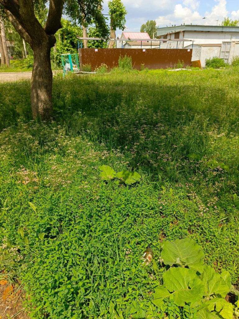 image-158-edited-768x1024 Екатеринбуржцы пожаловались на запущенный двор между домами на улице Патриотов