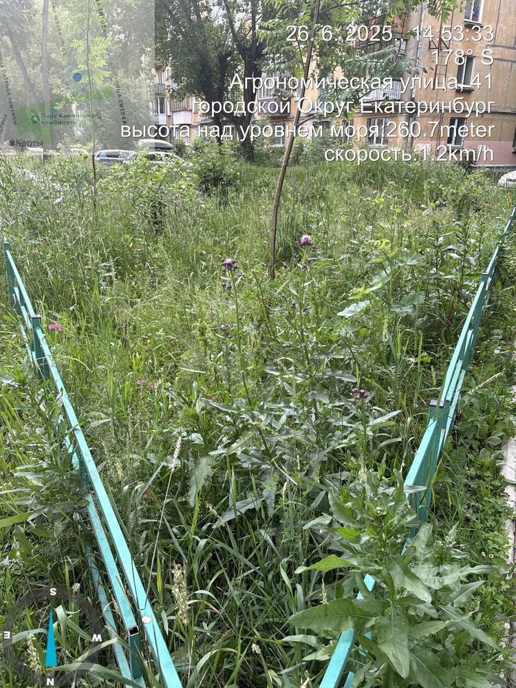 image-162 Жители дома №41 на Агрономической пожаловались на некошеную траву