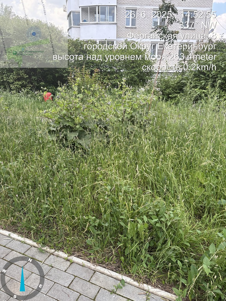 image-163 Жители дома №41 на Агрономической пожаловались на некошеную траву