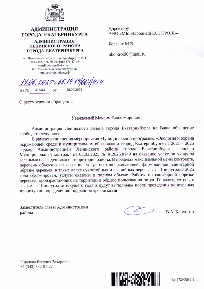 image-53 Санитарная обрезка деревьев на Горького запланирована на II полугодие