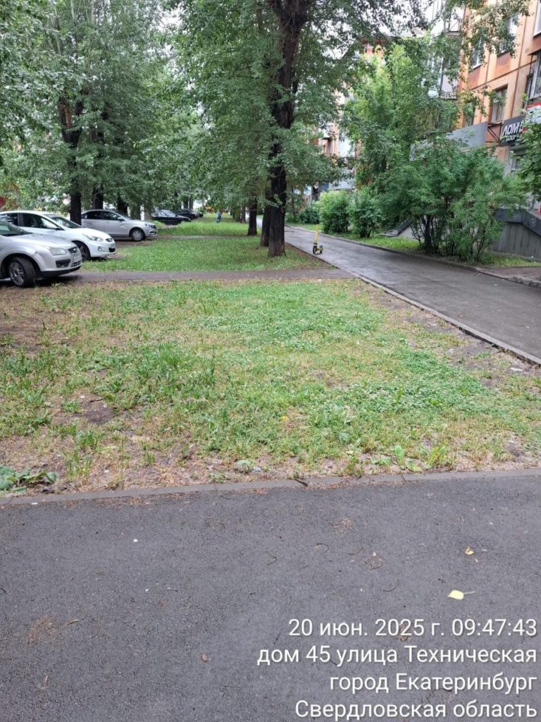 photo_5377538624029065994_y-768x1024 Мусор на Технической убран, вопрос с урнами перенесли на 2026 год
