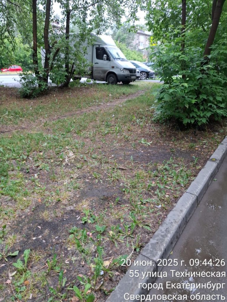 photo_5377538624029066000_y-768x1024 Мусор на Технической убран, вопрос с урнами перенесли на 2026 год