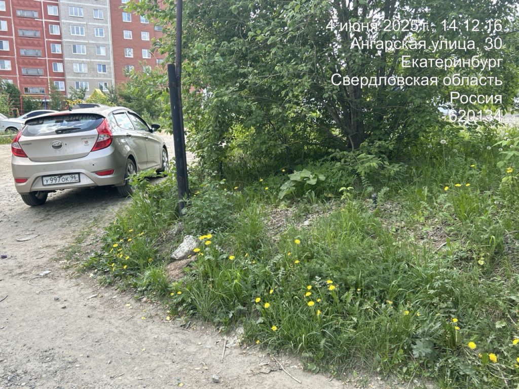 photo_5388674610939163550_y-1024x768 Мусор на Технической убран, вопрос с урнами перенесли на 2026 год