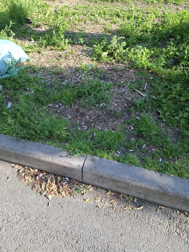 20250716_175600-rotated В Санкт-Петербурге сообщили об антисанитарии в пункте приготовления еды на ул. Фрунзе