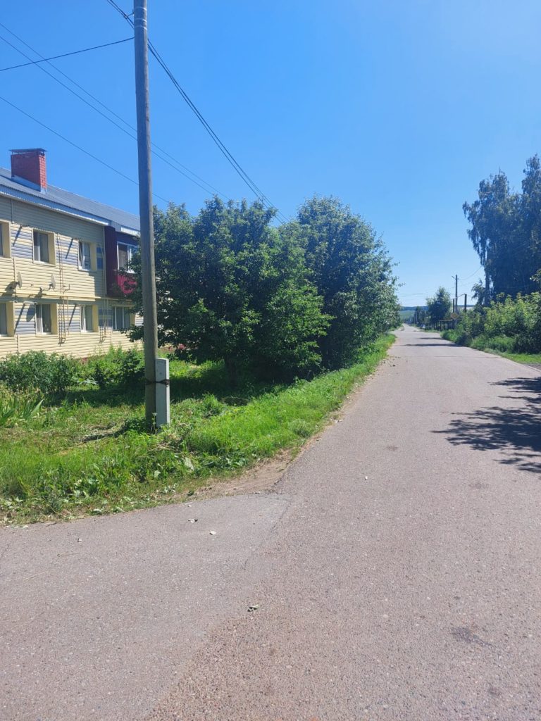 2fee3040-69f8-4a36-8e30-2baa38fd7684-768x1024 Администрация Мензелинска отчиталась о кронировании кустарников на опасном перекрёстке