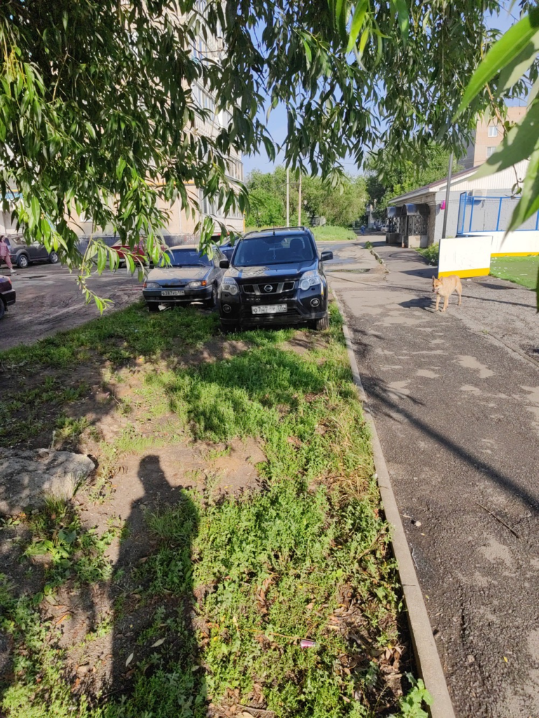 image-115-768x1024 Подборка автохамов, автонарушителей за 20 - 24 июня