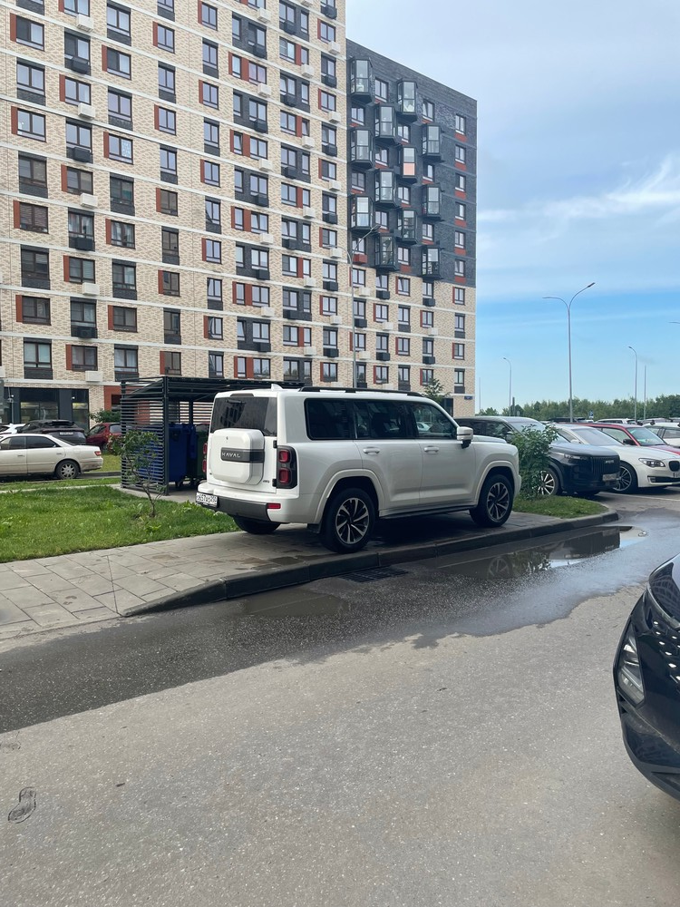 image-116 Подборка автохамов, автонарушителей за 20 - 24 июня