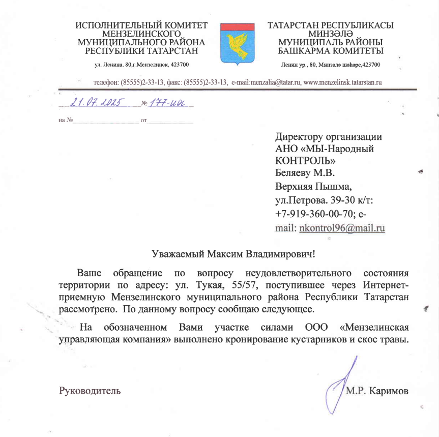 image-311 Администрация Мензелинска отчиталась о кронировании кустарников на опасном перекрёстке