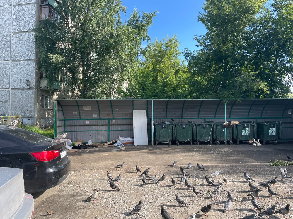 image-55 На Симферопольской в Екатеринбурге продолжаются проблемы с мусором и травой, ответ ГЖИ не убедил